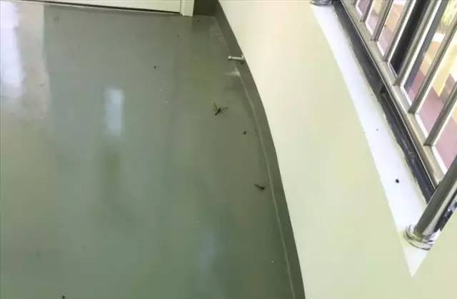 死尸遍地！寧波一幼兒園裝修后現(xiàn)場觸目驚心！