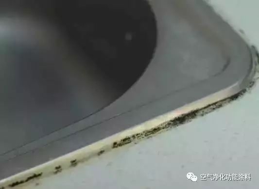 小戶(hù)型廚衛(wèi)裝修_廚衛(wèi)裝修圖小戶(hù)型_超小戶(hù)型裝修 15平米超小戶(hù)型
