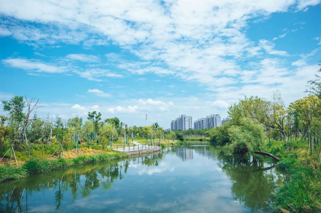 書房裝修效果簡(jiǎn)約圖_花園洋房裝修效果圖_匯仁陽光花園裝修效果